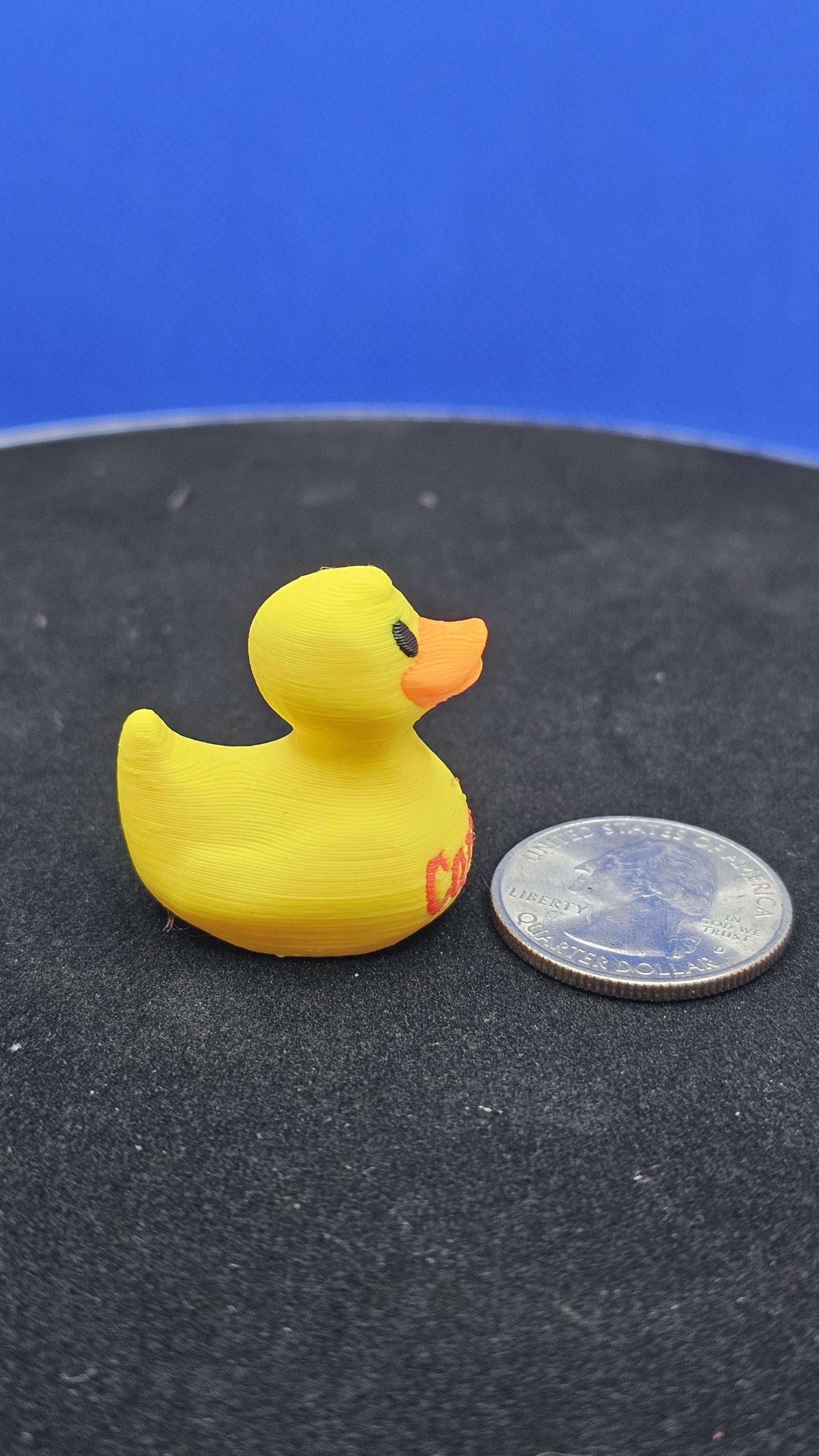 Carnival Cruise Duck • 3D Printed Hide‑and‑Seek Cabin Door Surprise (Small/Medium)