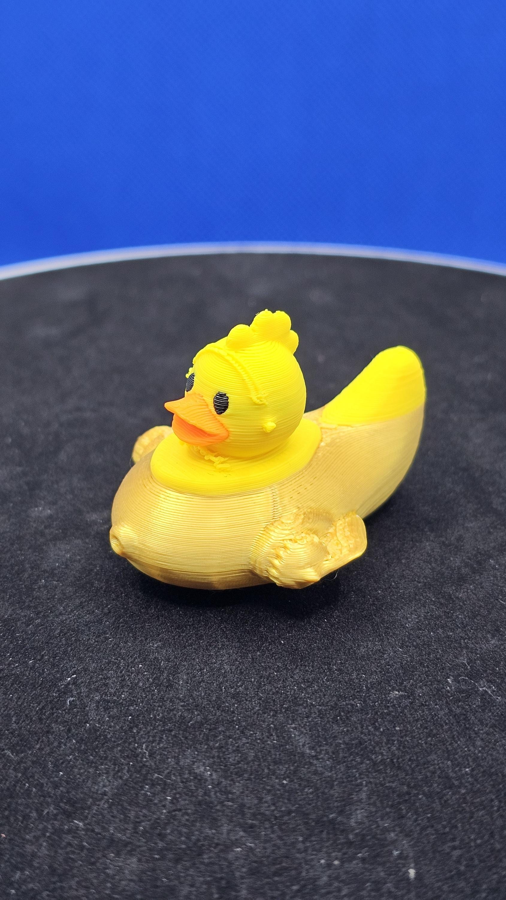 3D Printed Space Duck Explorer – Cruise Duck for Hiding & Finding