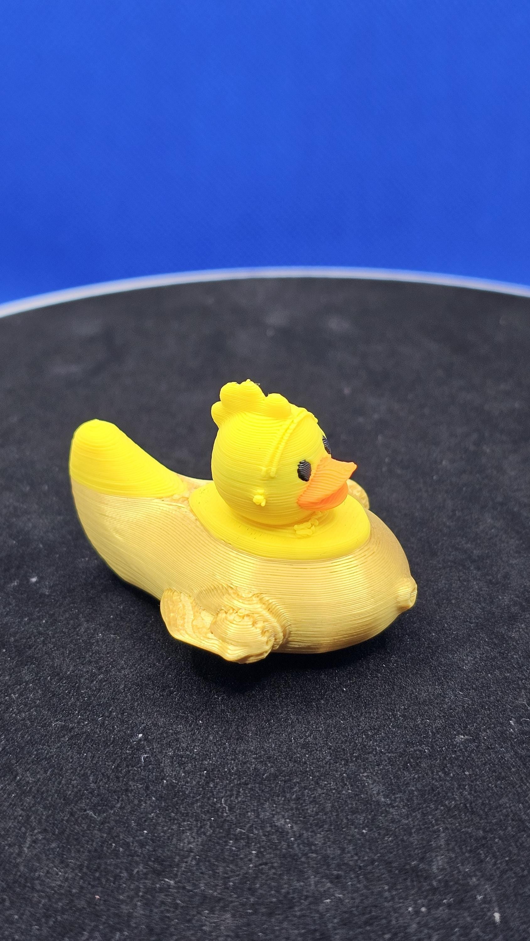 3D Printed Space Duck Explorer – Cruise Duck for Hiding & Finding
