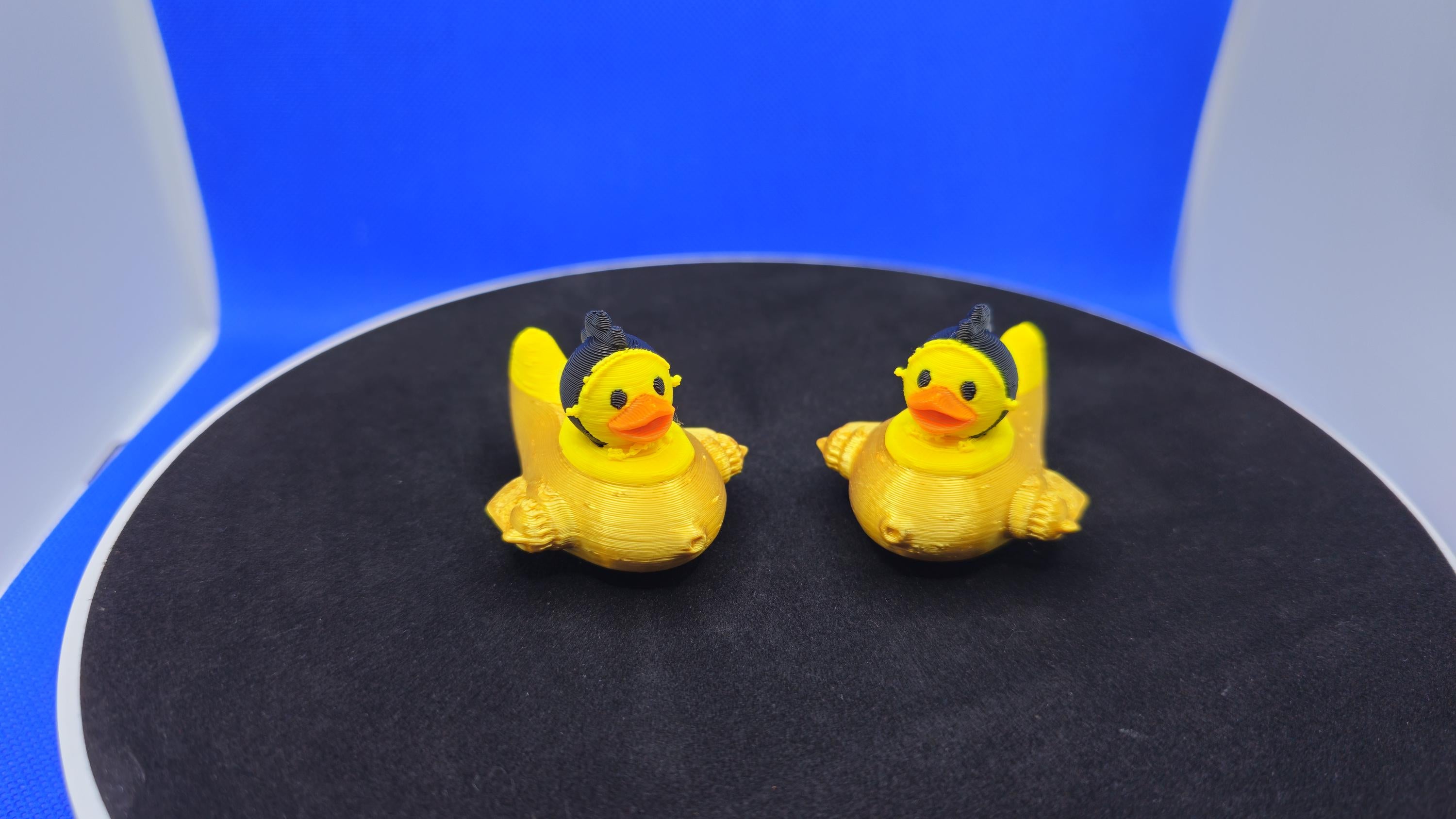 3D Printed Space Duck Explorer – Cruise Duck for Hiding & Finding