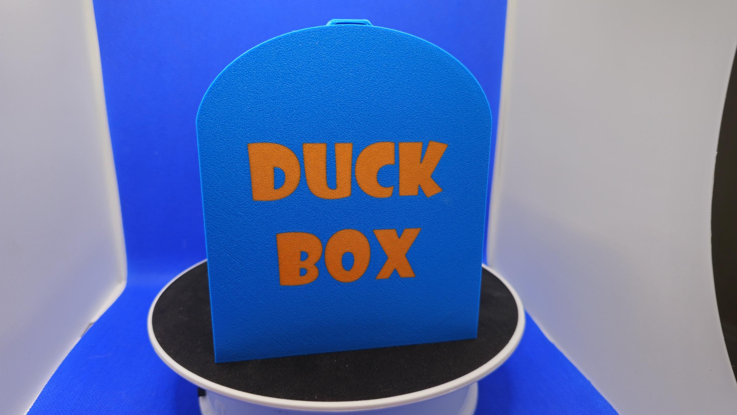 Medium Duck Box™ – Magnetic Cruise Duck Hiding Mailbox