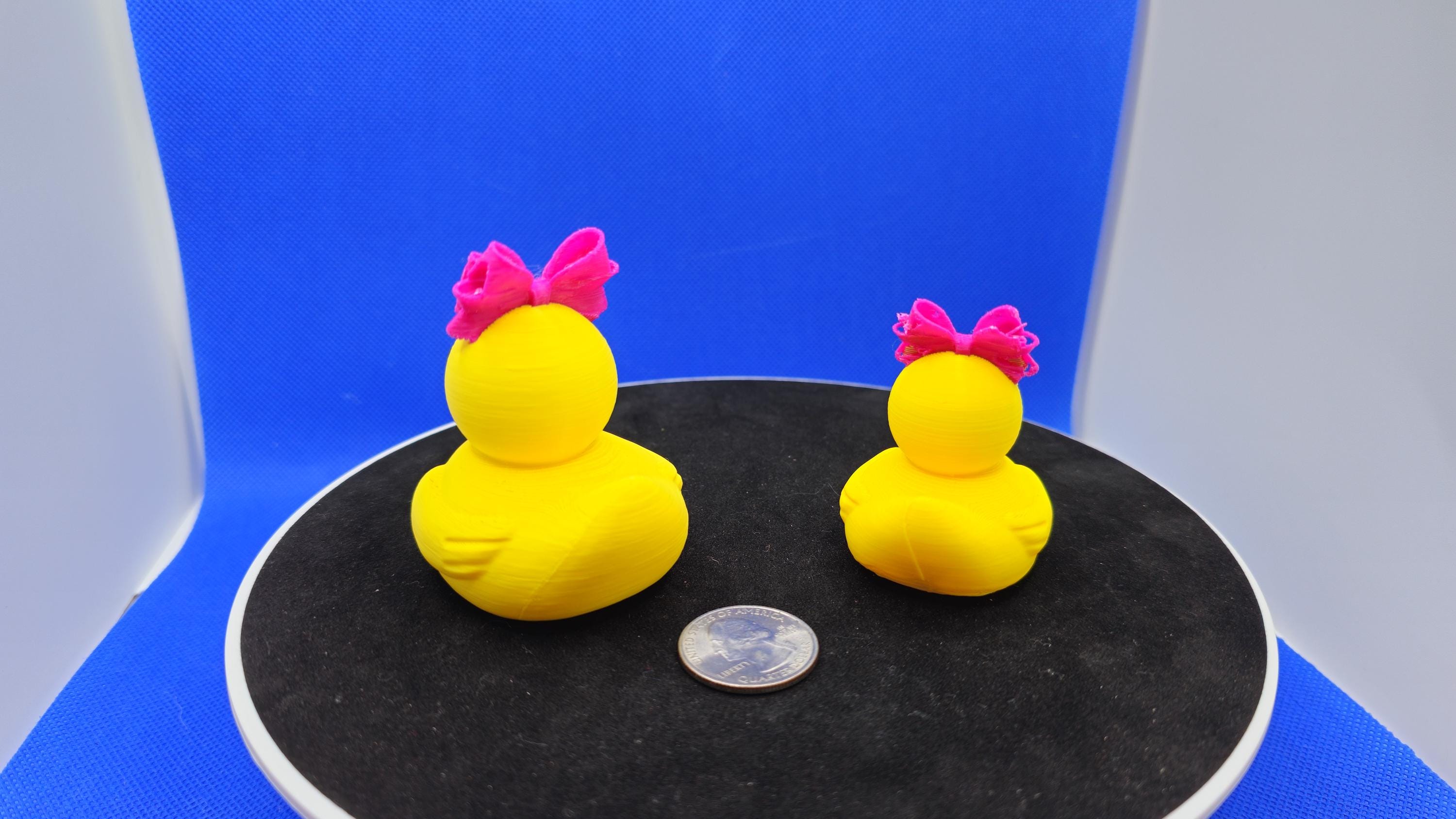3D Printed Cruise Duck with Big Bow – Hide and Find Game Toy