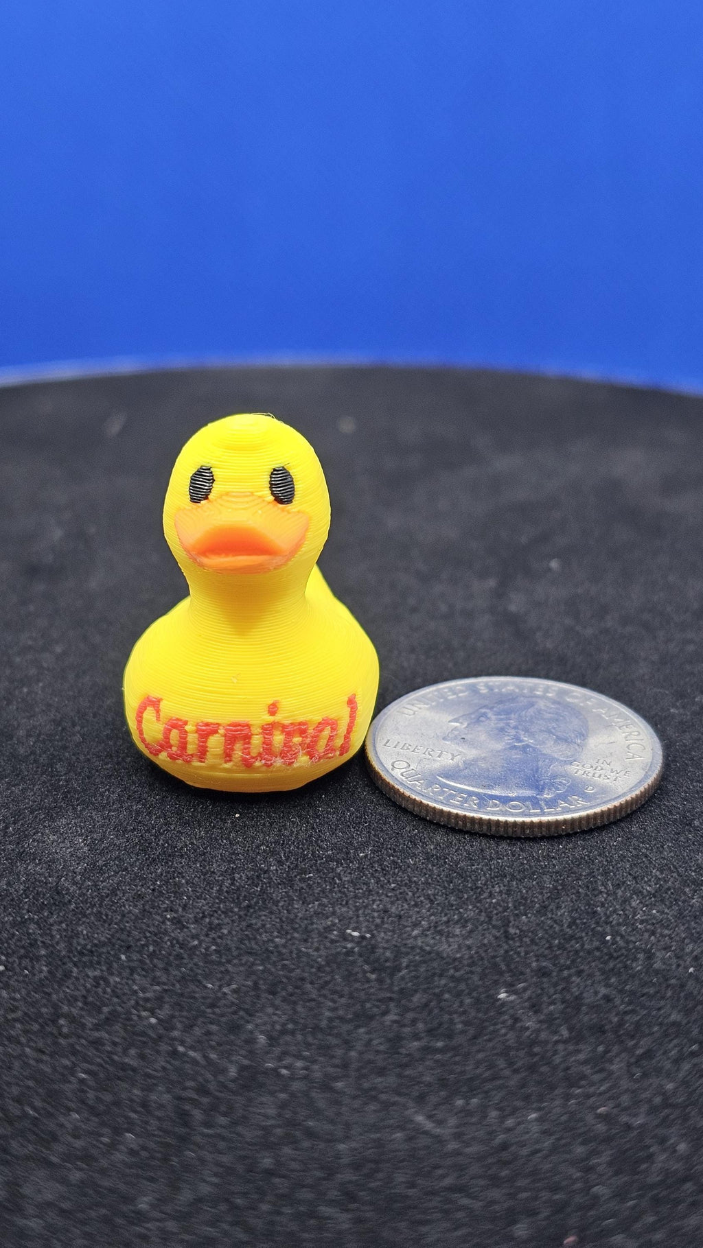 Cruise Ship Duck: Hide-and-Seek Treasure Keepsake