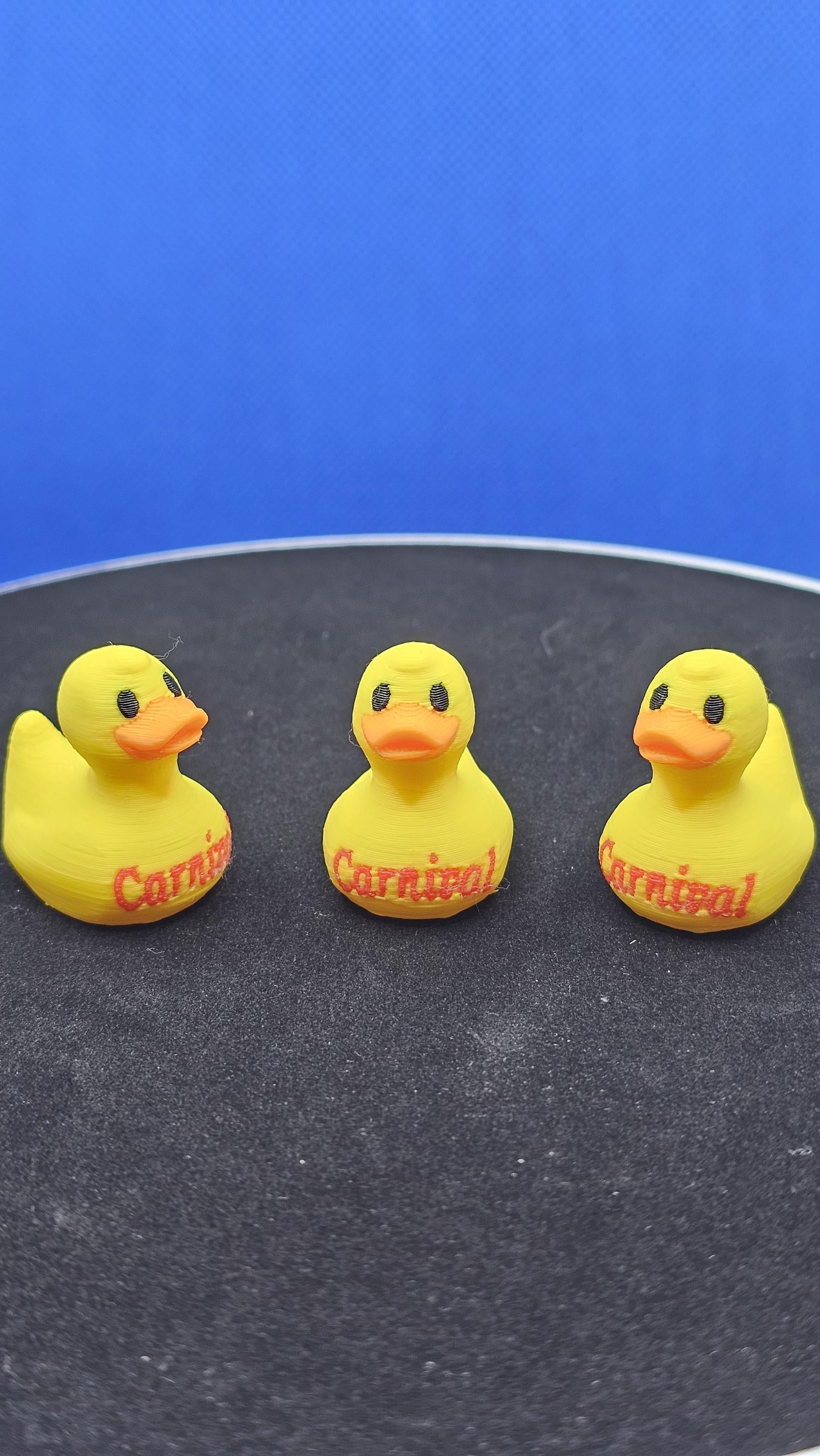 Cruise Ship Duck: Hide-and-Seek Treasure Keepsake