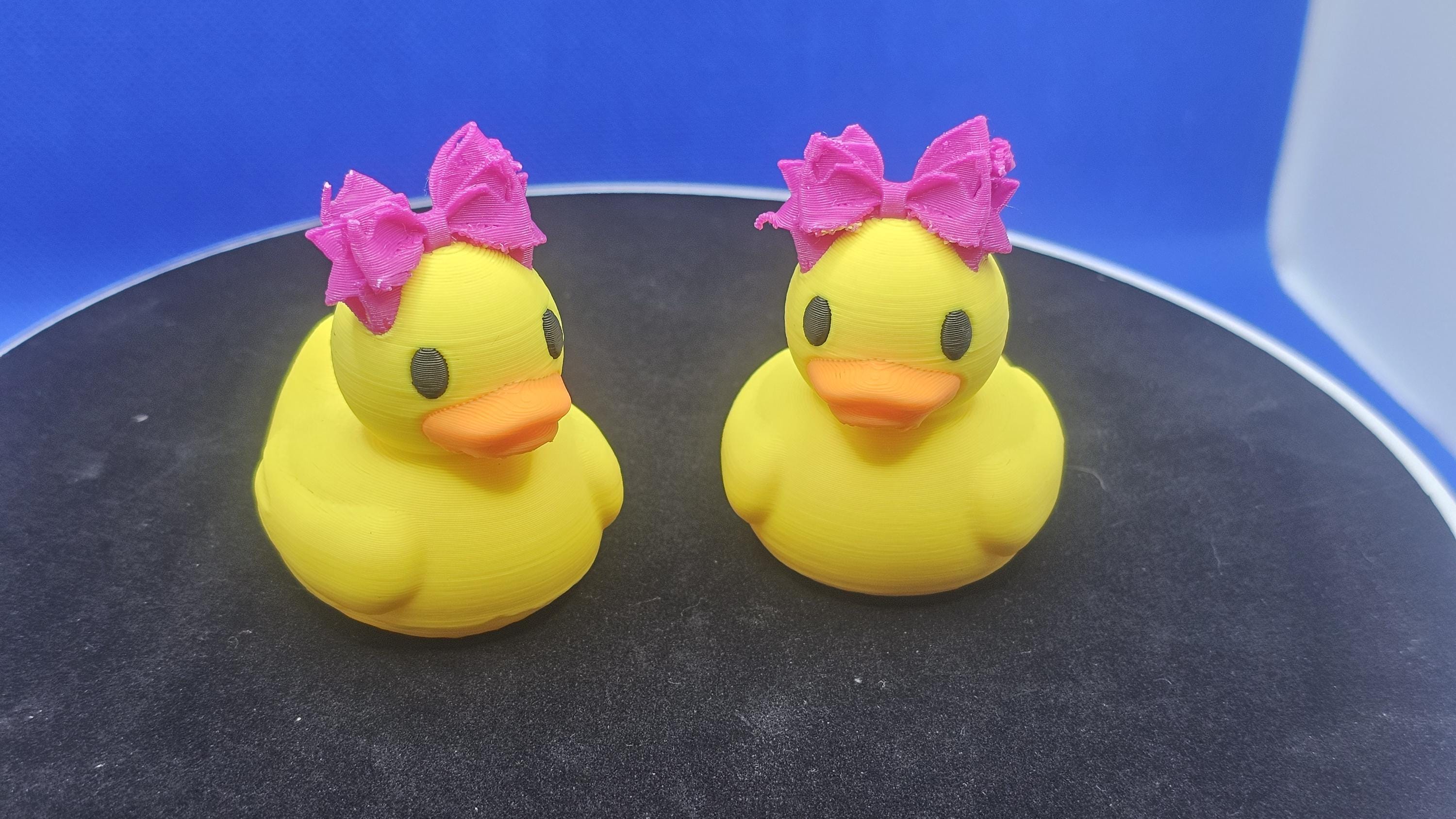 3D Printed Cruise Duck with Big Bow – Hide and Find Game Toy