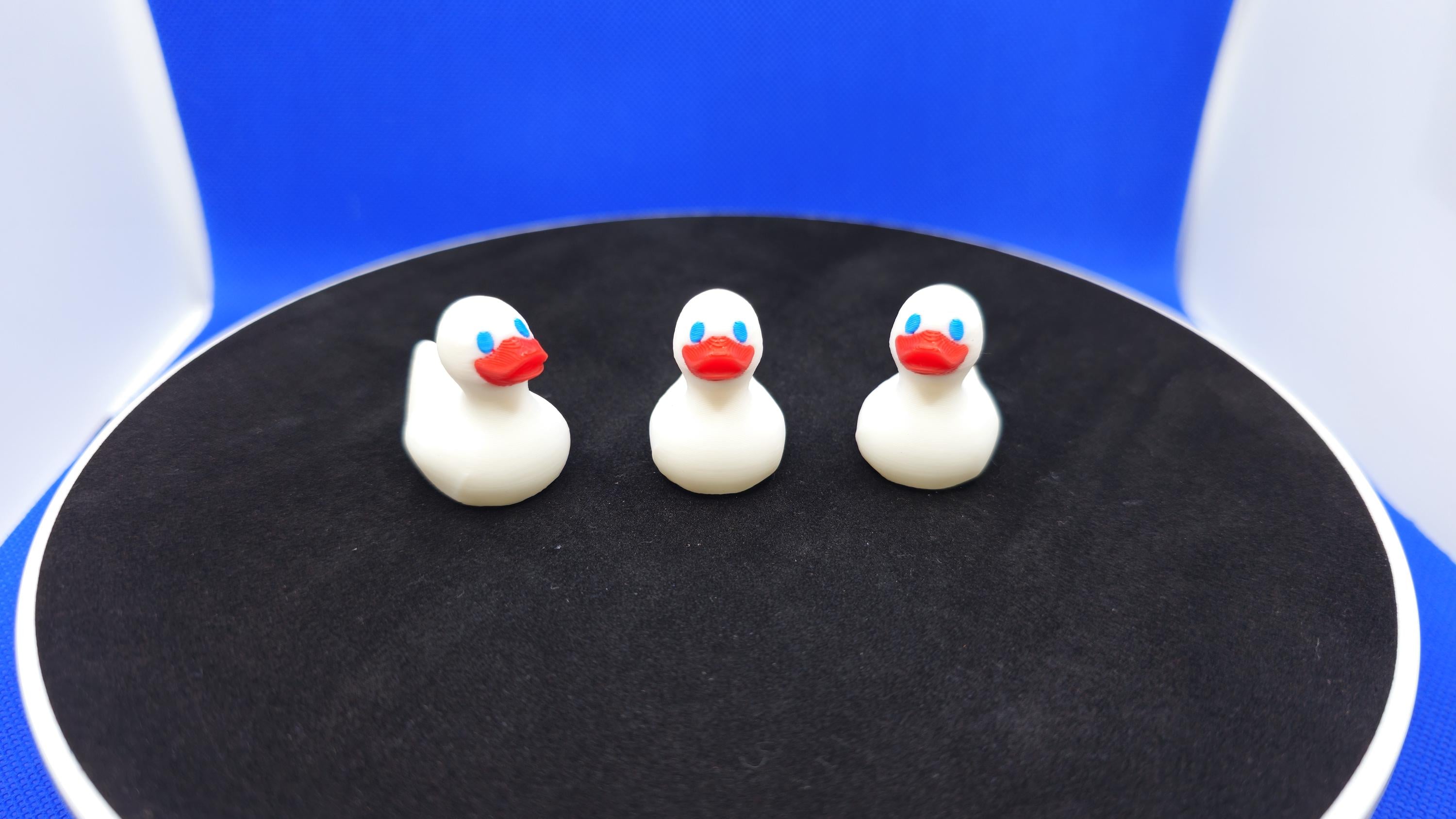 Red White Blue Cruise Ducks – Patriotic 4th of July Duck Hunt Fun