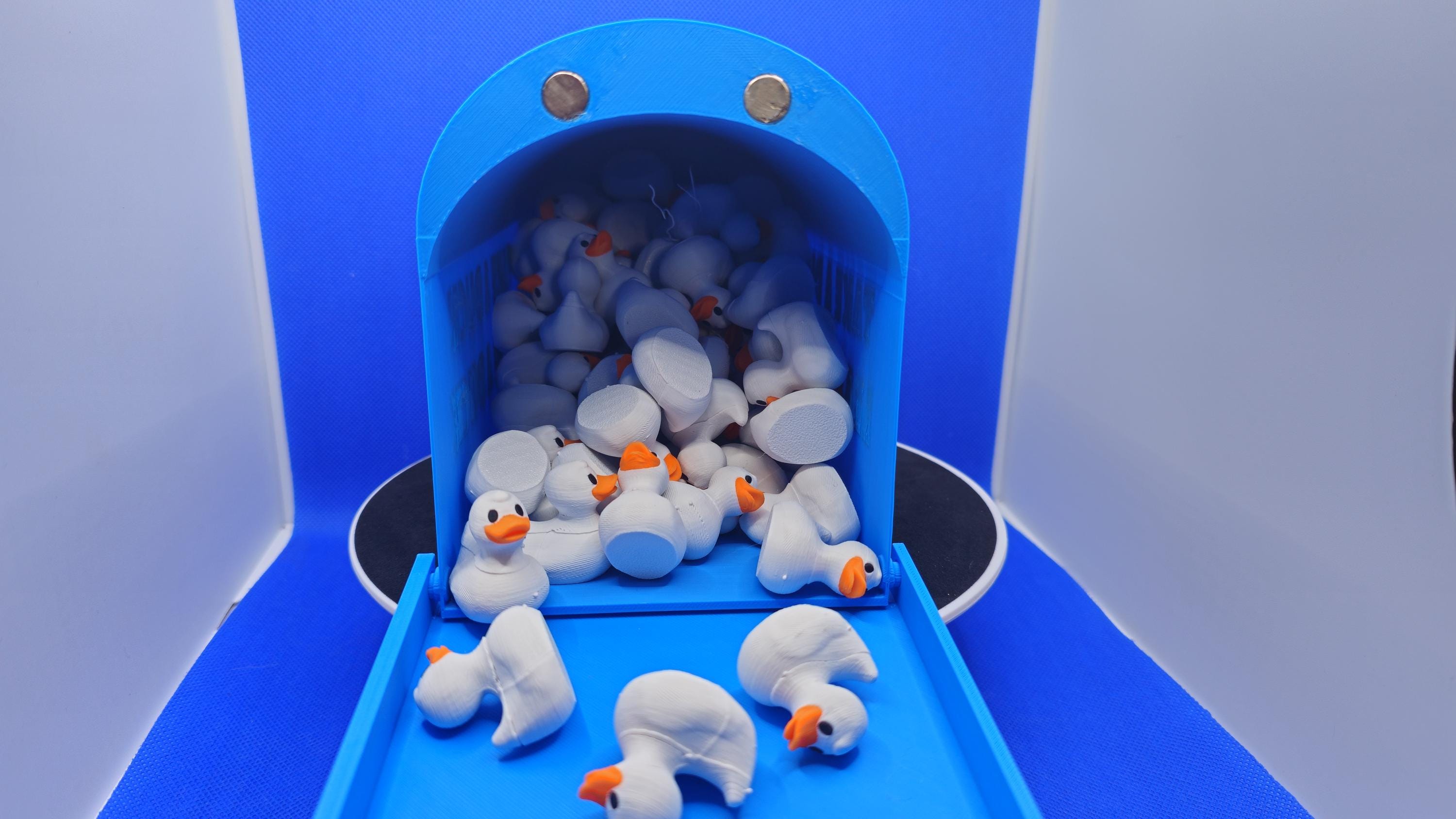 Duck Box™ — The Cruise Mailbox Made Just for Ducks!