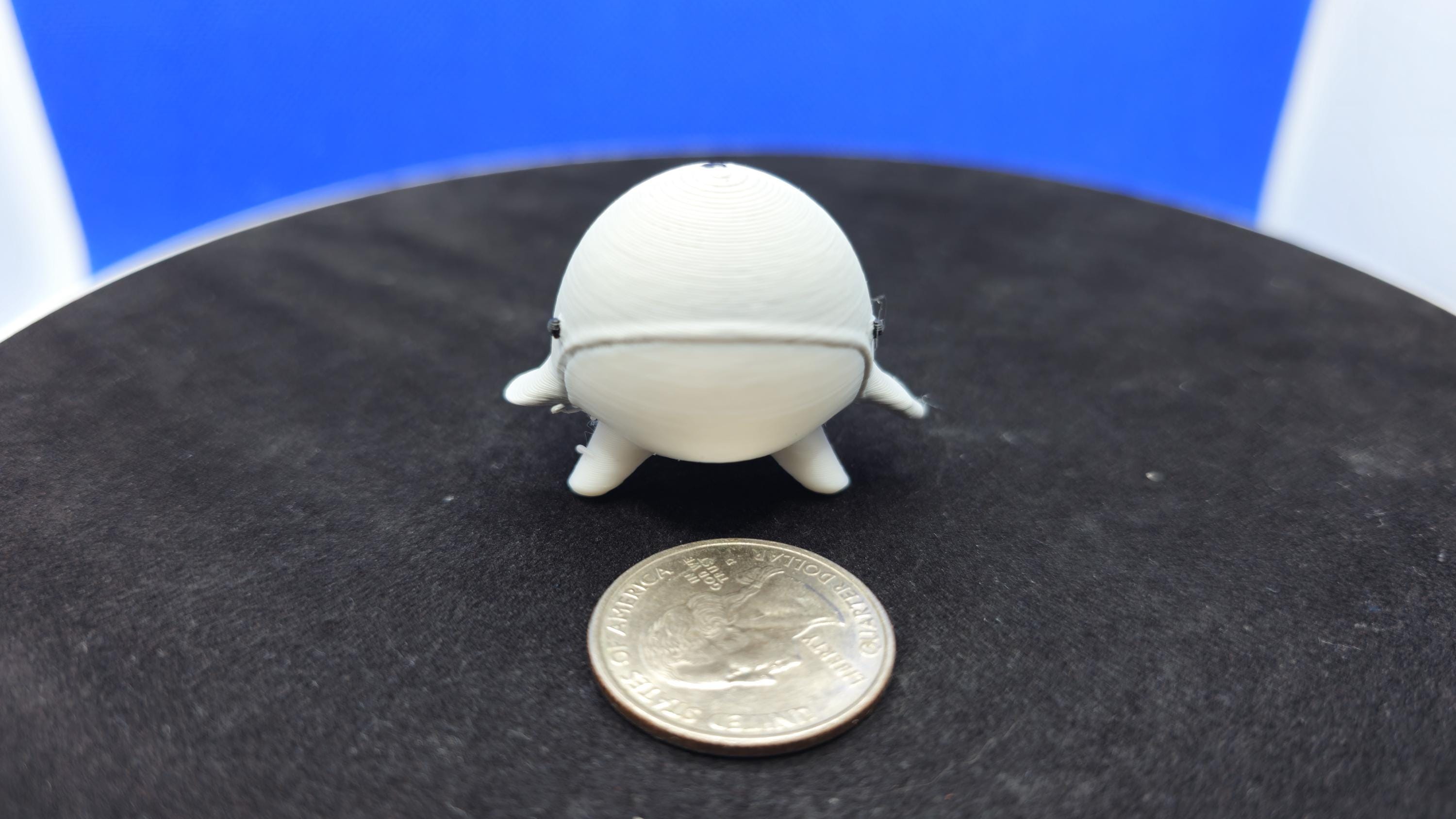 Stumpy Whale Mini Duck, 3D Printed PLA, Ocean Blue Surprise Toy