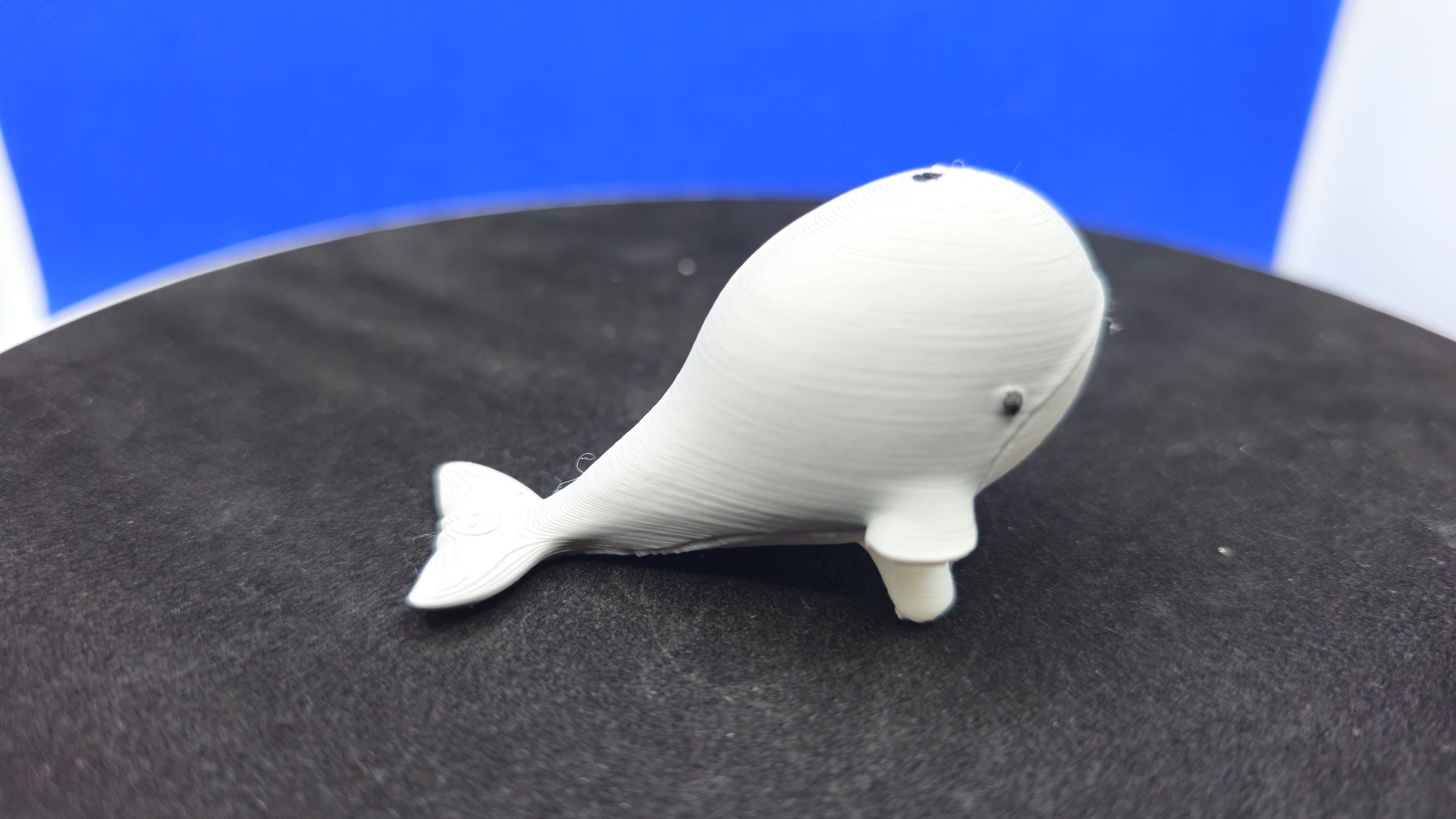 Stumpy Whale Mini Duck, 3D Printed PLA, Ocean Blue Surprise Toy