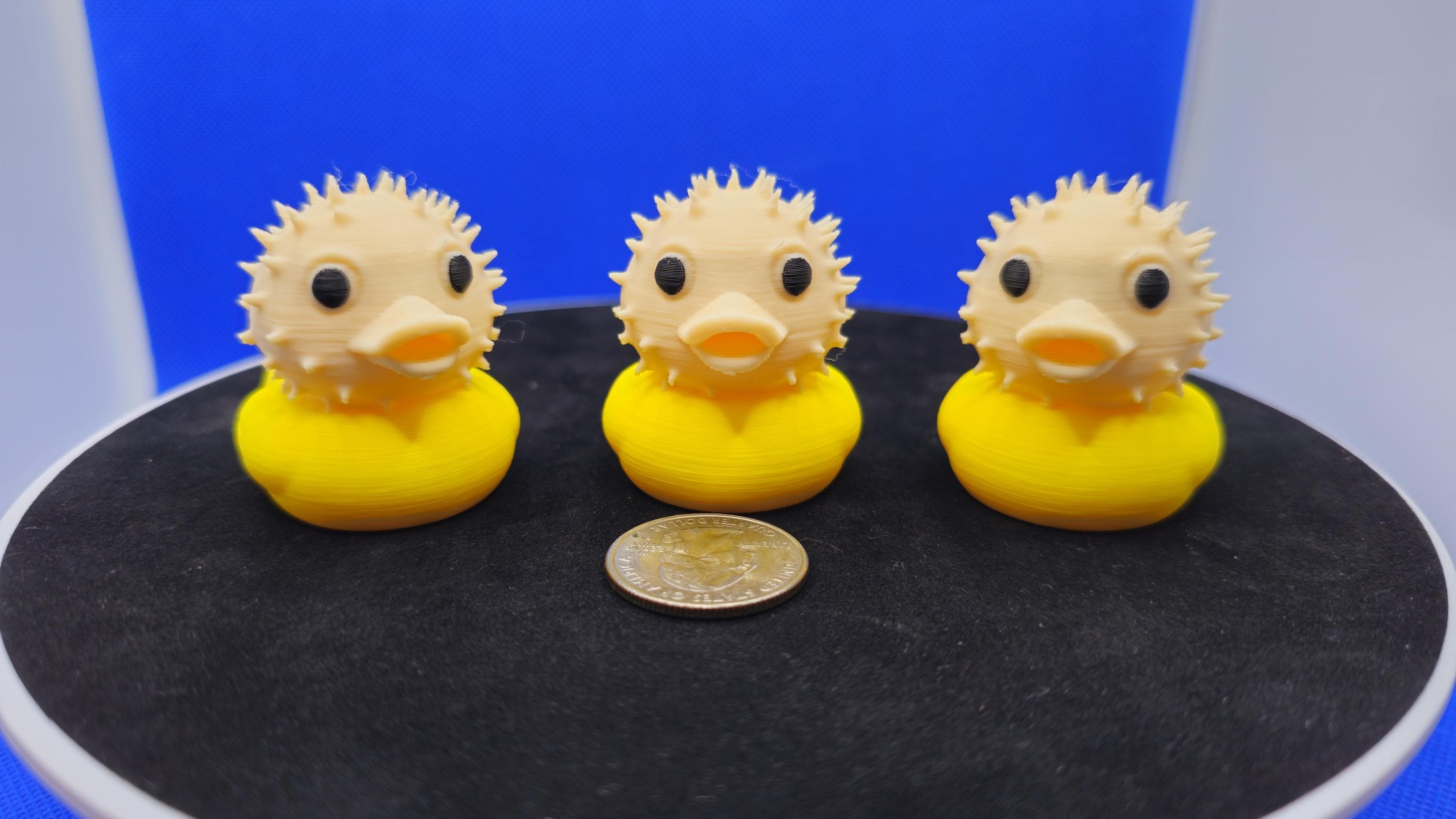PUFFER FISH DUCK for Cruise Duck Hunting & Collecting