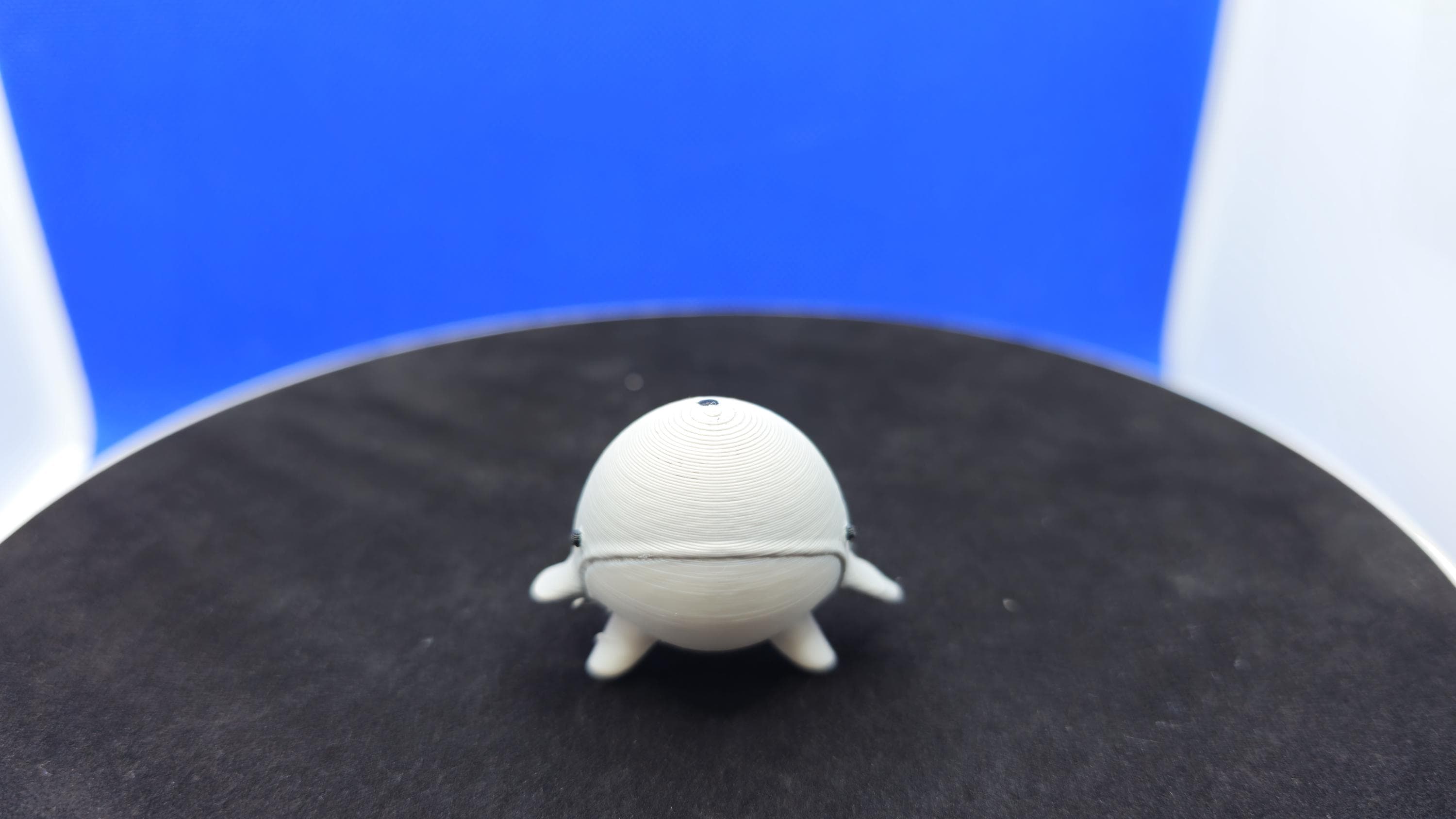 Stumpy Whale Mini Duck, 3D Printed PLA, Ocean Blue Surprise Toy
