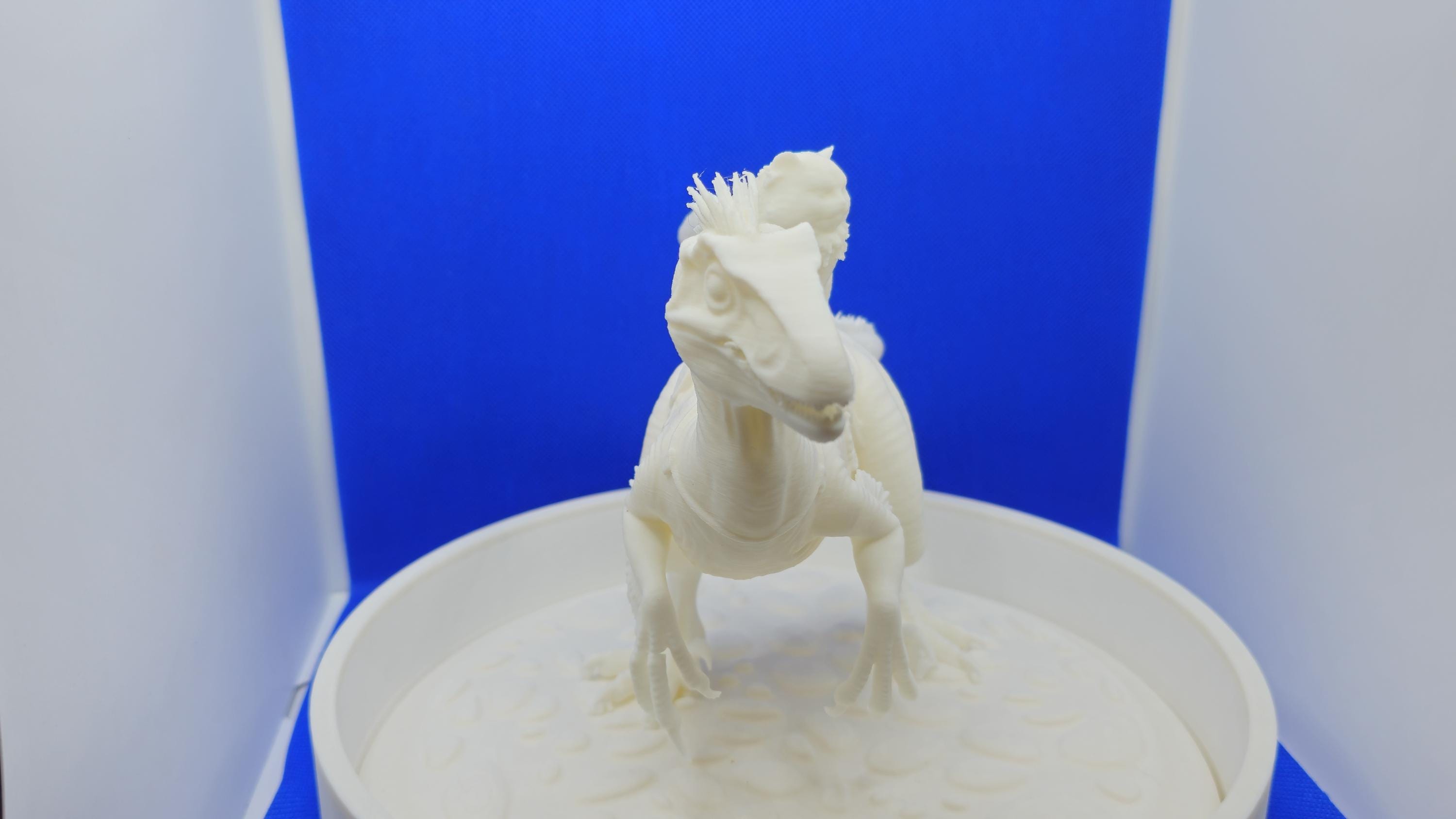 Princess Donut Riding Mongo Statue | DCC Inspired 3D Print Display (White PLA)