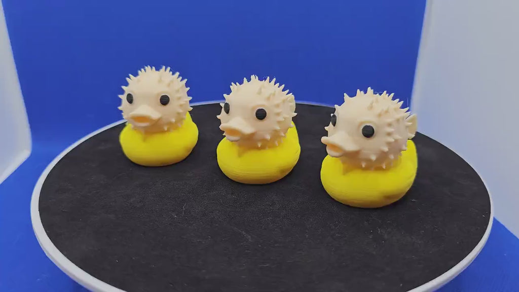 PUFFER FISH DUCK for Cruise Duck Hunting & Collecting
