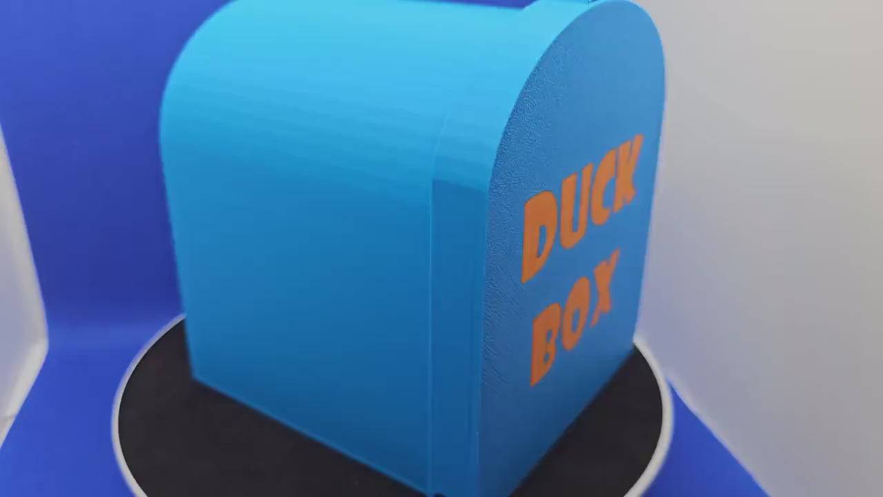 Medium Duck Box™ – Magnetic Cruise Duck Hiding Mailbox