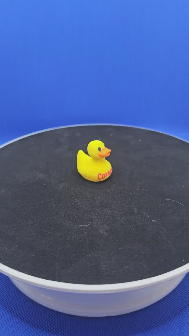 Carnival Cruise Duck • 3D Printed Hide‑and‑Seek Cabin Door Surprise (Small/Medium)